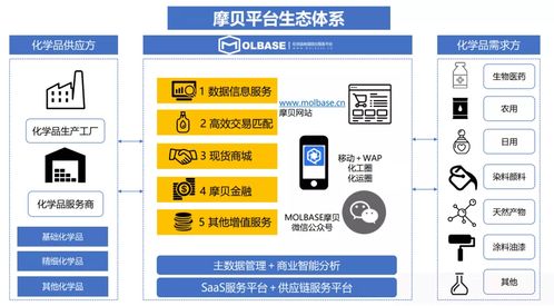 中國化工企業(yè)管理協(xié)會(huì)數(shù)字化專委會(huì)新春座談?wù)匍_，摩貝斬獲多項(xiàng)授牌引領(lǐng)行業(yè)數(shù)字化升級(jí)