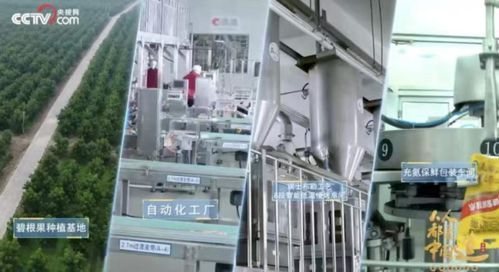 洽洽食品榮膺“十四五”雙項(xiàng)殊榮，樹立堅(jiān)果行業(yè)管理新標(biāo)桿